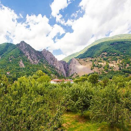 Irenes Resort Káto Loutrákion Εξωτερικό φωτογραφία